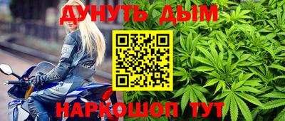 шишки Будённовск