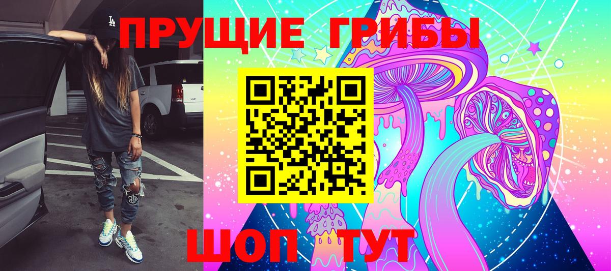Одинцово  цены   Вход с VPN  Галлюциногенные грибы Psilocybe 