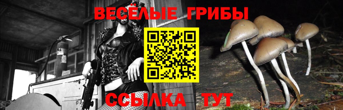 Галлюциногенные грибы мицелий Одинцово